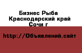 Бизнес Рыба. Краснодарский край,Сочи г.